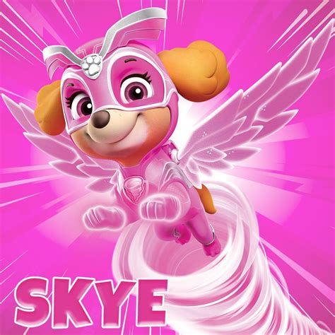 Paw Patrol Skye Wallpapers Wallpaper Cave