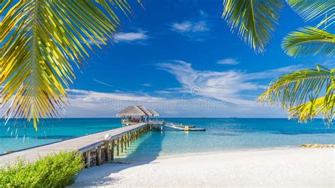 9842 Tropical Landscape Maldives Island Beach Palm Trees Stock Photos