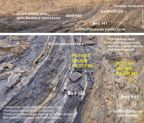 Outcrop Photos Of The Permian Triassic Boundary Interval At Penglaitan