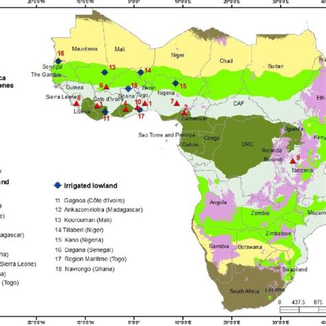 Surveyed Areas In Sub Saharan Africa Download Scientific Diagram