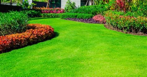 5 Tips For Watering Your Lawn In Fort Worth Lawnstarter