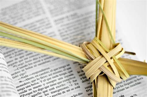 What Is Palm Sunday Meaning And History Jesusful