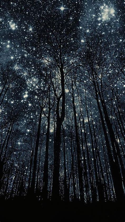 Forest Nigth Full Of Stars S5 Wallpaper Id 41811 Moon And Stars