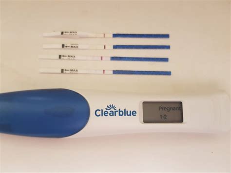 1 2 Weeks Pregnancy Test After Pregnancy