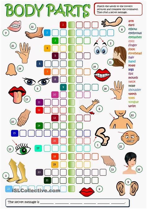 Learn parts of the body to boost your vocabulary. hollywoodjames: Task 2 Create a set of worksheets (4 minimum) for A2 level students