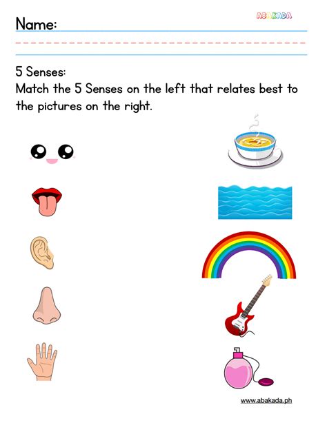 Five Senses Worksheet Science Printable Worksheets