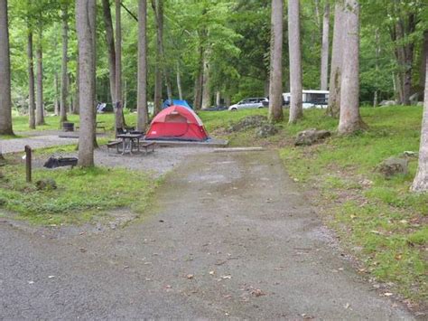 Elkmont Campground Site Map