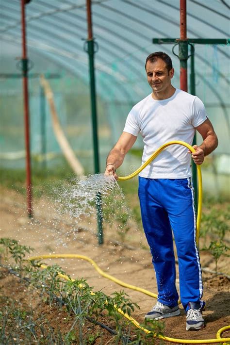 Farmer Watering The Plants Stock Image Image Of Glasshouse 137465683