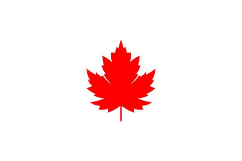 Maple Leaf Vector Red Maple Leaf Icon Gráfico Por Quatrovio · Creative