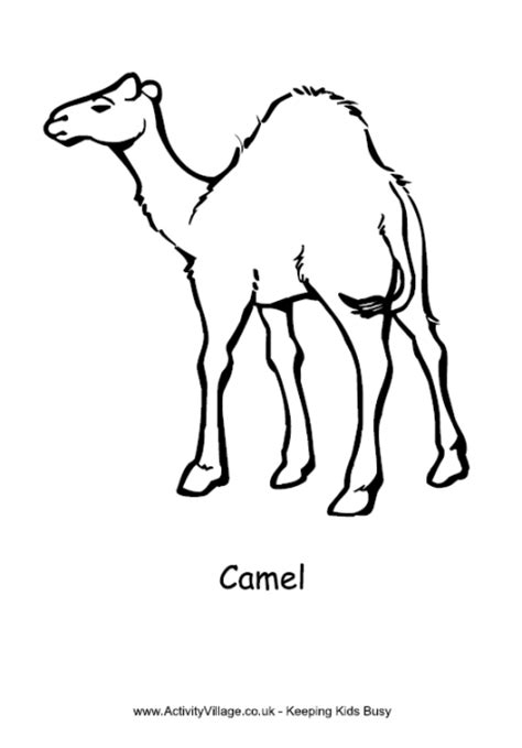 Check out camel coloring pages that parents and teachers can print for kids. Camel Colouring Page
