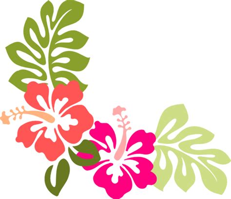 Download High Quality Hibiscus Clipart Vector Transparent Png Images