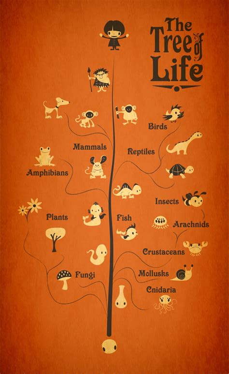 The Tree Of Life Scienceevolution Art Print Small Or Etsy Uk