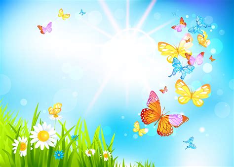 Spring Butterfly Wallpapers Top Những Hình Ảnh Đẹp