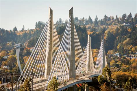 We're talking about animal crossing: Tilikum Crossing in Portland Won't Allow Cars - The Atlantic