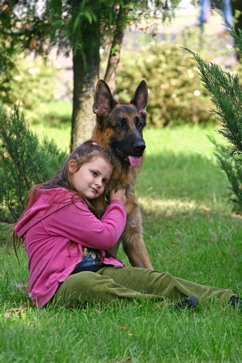 The Girl And German Shepherd Royalty Free Stock Images Image 12364219