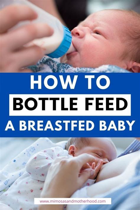 Bottle Feeding Your Newborn Baby Artofit