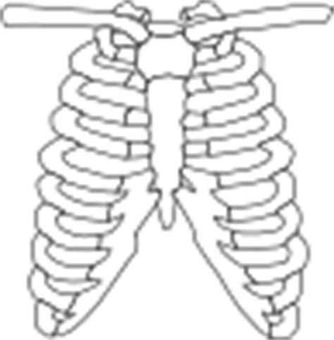 11 matches images per page: Rib Cage clip art (111078) Free SVG Download / 4 Vector