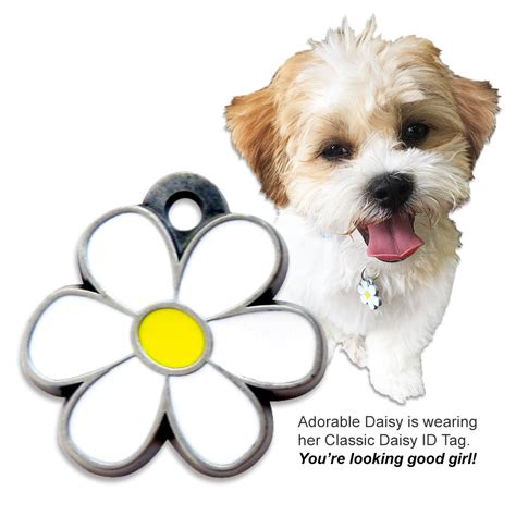 Small Dog Id Tag Tag Classic Enameled Daisy Dog Id Tag For Small Dogs