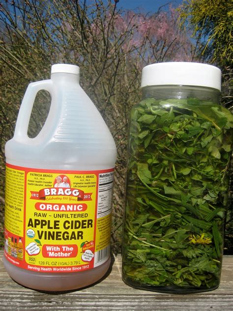 In sufficient amounts, it also lowers soil ph to the point that available nutrients become inaccessible for. Meadow Muffin Gardens: Healthy Vinegars from your Plant Allies