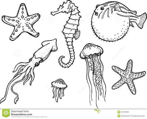 Marine Animals Sketch Stock Vector Illustration Of