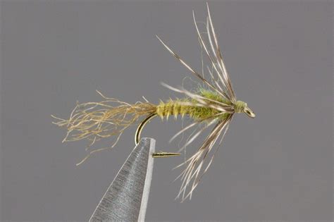 Olive Biot Soft Hackle Fly Tying Fly Fishing Flies Pattern Fly