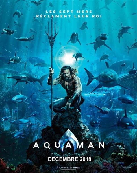 Aquaman Véritable Pré Affiche De Cinéma Pliée Format 40x60 Cm De