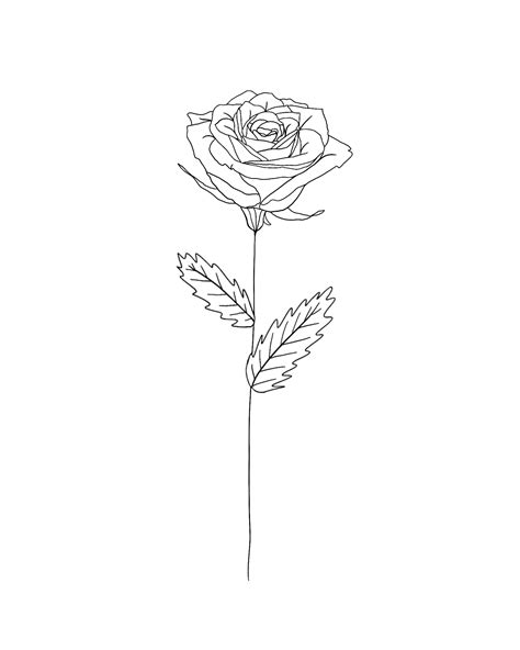June Birth Flower Tattoo