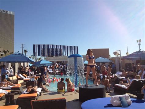 Photos For Sapphire Pool And Dayclub Yelp