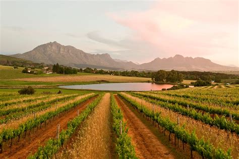 My Favourite Wine Farms Near Cape Town Non Stop Destination