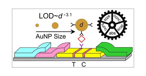 Quantifying The Numbers Of Gold Nanoparticles In The Test Zone Of Lateral Flow Immunoassay