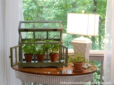 Tabletop Greenhouse Or Terrarium For Growing Herbs