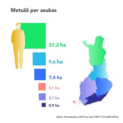 Päivittää 30 Imagen Suomen Metsien Historia Abzlocal Fi