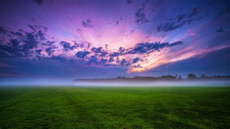 640x360 Resolution Green Grass And Fogg Under Purple Sky During Sunset