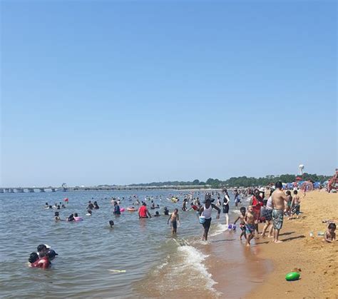 sandy point state park annapolis 2020 all you need to know before you go with photos