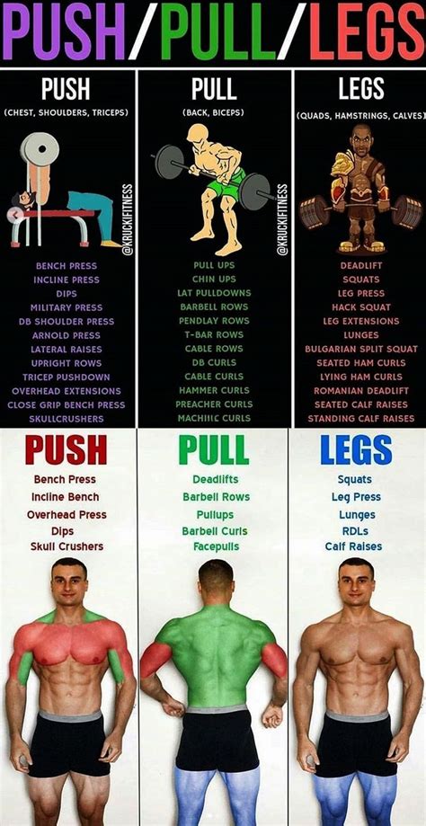 Ready to hit a push workout at home? #fullbodyworkout #amazoncom #exercises #exercise #training ...
