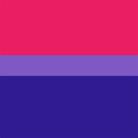 Pixilart Bisexual Flag By Yeahitzamanda