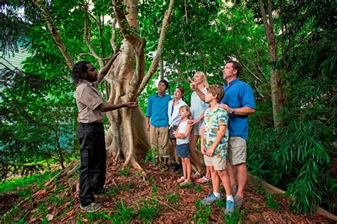 Tjapukai By Day Aboriginal Cultural Tour Cairns Adult Adrenaline