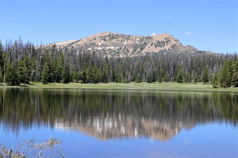 Lily Lake Reflections Uinta Mountains Utah Stock Photo Download Image