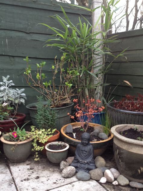 My Zen Container Garden With My New Buddha A Work In Progress Zen