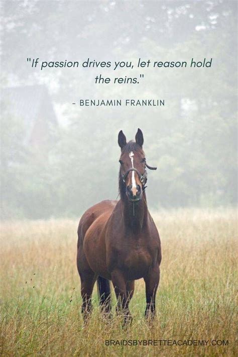 Driven By Passion Horse Quotes Inspirational Horse Quotes Equine Quotes