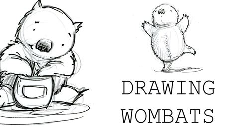 How To Draw Wombats Youtube Tutorial Wombat Drawing