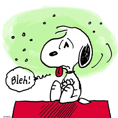 Blah Snoopy Sick Feeling Bad Snoopy Snoopy Love Snoopy Pictures