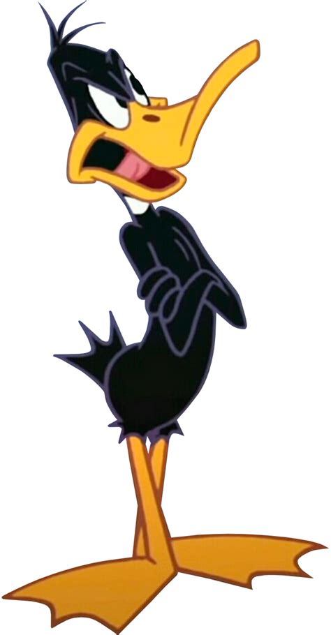 Daffy Duck Daffy Duck Looney Tunes Cartoons Classic Cartoon Characters