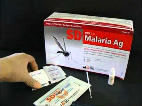 Serological test, serology, blood test, serology test. Malaria Antigen Rapid Test - YouTube