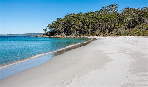 Search the best jervis bay vacation deals & save more when you book your flight + hotel together. Jervis Bay National Park | Learn more | NSW National Parks