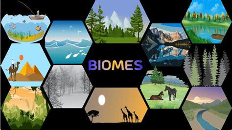 Biomes Questions Answers For Quizzes And Tests Quizizz