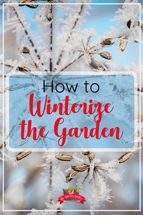 How To Winterize The Garden Spring Garden Winter Garden Low
