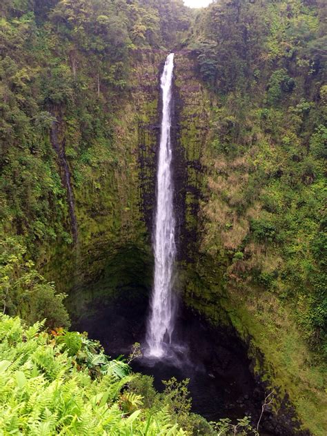 Akaka Falls Big Island Hawaii Majestic Waterfall And Amazing Hike