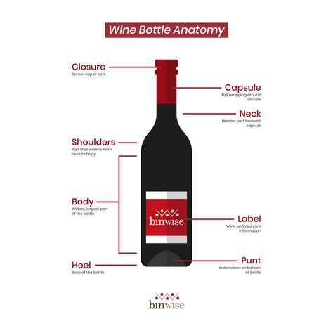 Parts Of A Wine Bottle Anatomy Of A Wine Bottle