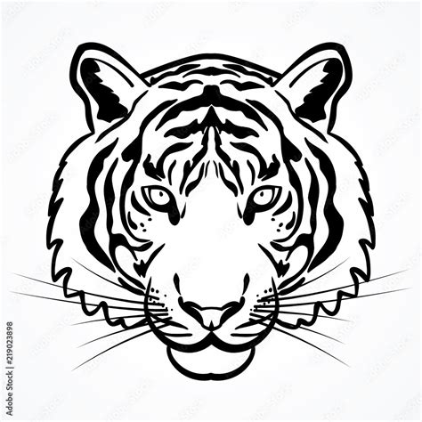 Tiger Head Outline Illustration Vector Stock Vector Adobe Stock